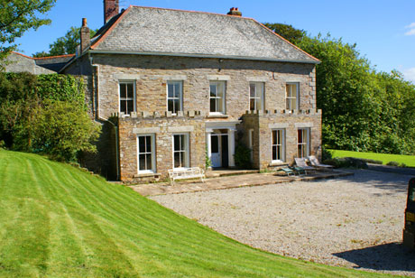 View of landscapeing and driveway by Graham Howard